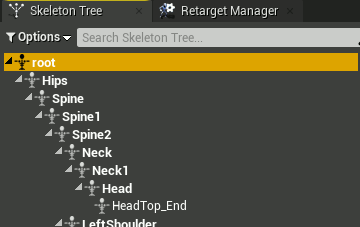 The Root Boon added to the Mixamo skeleton